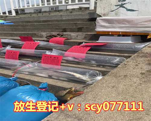 螺蛳放生在哪里最好，夏天是蛤蜊、贻贝、牡蛎、螺蛳等贝类的繁殖旺季。放生