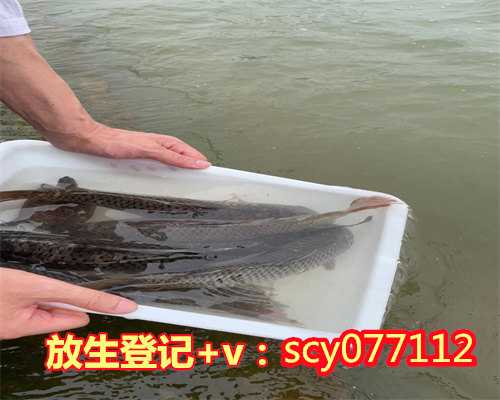 长春河里能不能放生红鲤鱼（长春允许放生的水域）