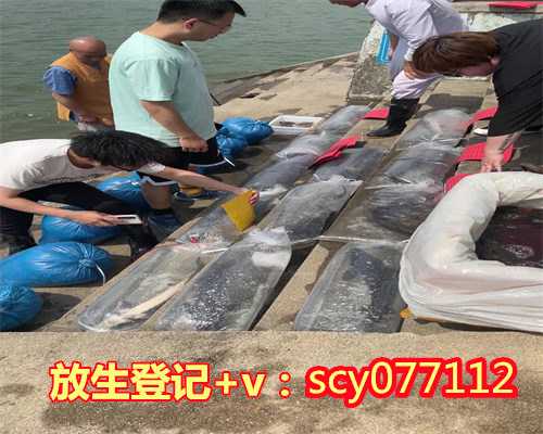 杭州哪里能放生飞禽