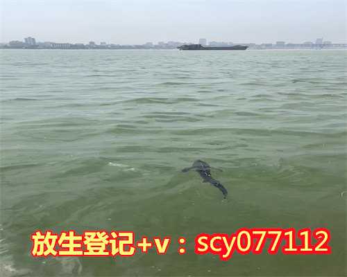 内蒙哪里可以放生蚯蚓，放生蚯蚓的注意事项