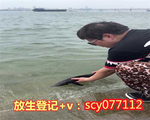 凤凰山放生池怎么放生巴西龟,莲池大师----放生仪