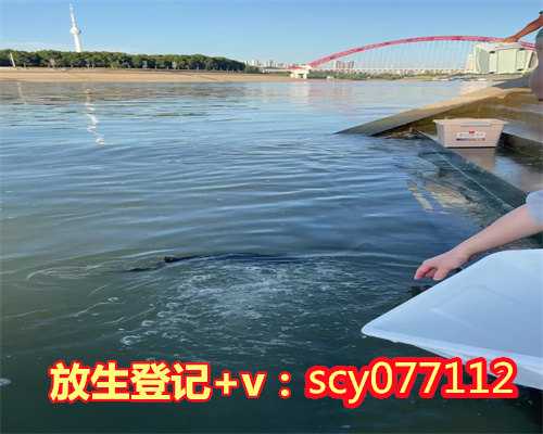 放生 上海,上海哪里适合放生鱼苗【上海周边放生最佳地点】