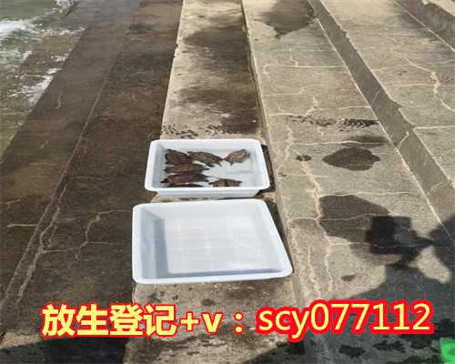 云南怎样为病人放生回向,云南何地可以放生王八,云南六祖坛经功德