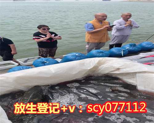 为什么不能随便放生乌龟,净土法门法师:植物是否会成精?为什么不能随便砍