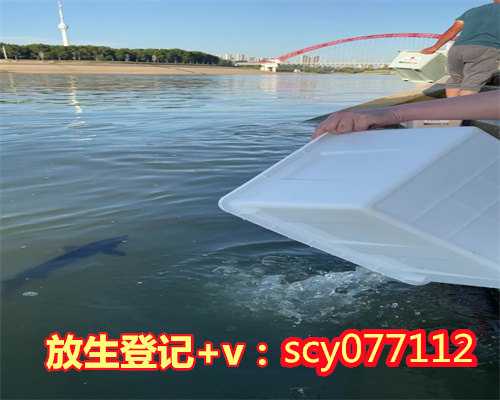 上海放生泥鳅时间,上海哪里适合放生蚯蚓,上海东江企石放生点