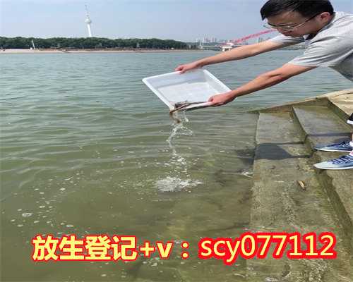 放生黑鱼什么时间最好宁波,宁波哪里放生鳖比较好【宁波放生护生团网站】