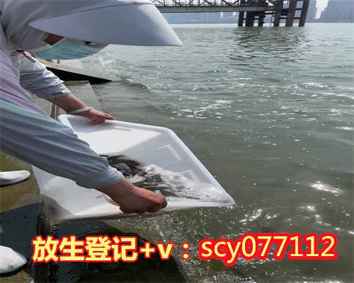 放生鱼和野生鱼的区别，放生“娃娃鱼”