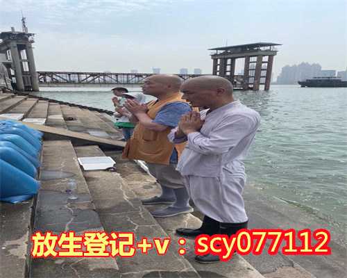 小金鱼放生到哪里比较好，浅谈金鲤鱼的放生