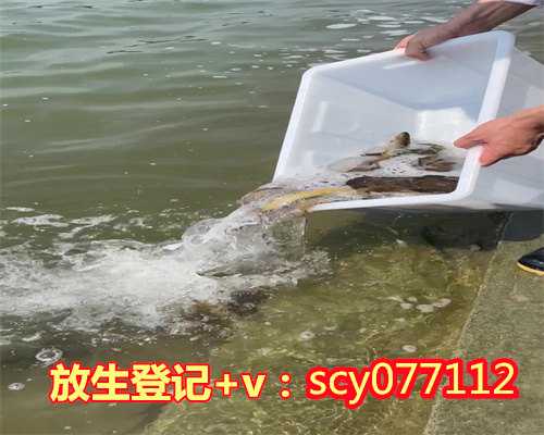 南昌 历阳湖放生南昌,南昌放生蝎子在哪里【初一放生鱼祈福的语句】