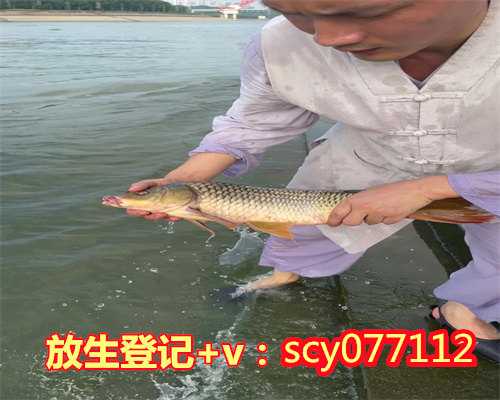 贵阳2月2能放生吗（贵阳放生回向给家人放生的人有功德吗）