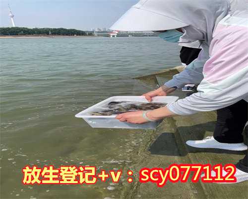 新站放生过后还能吃肉吗(新站冬季哪里可以放生)