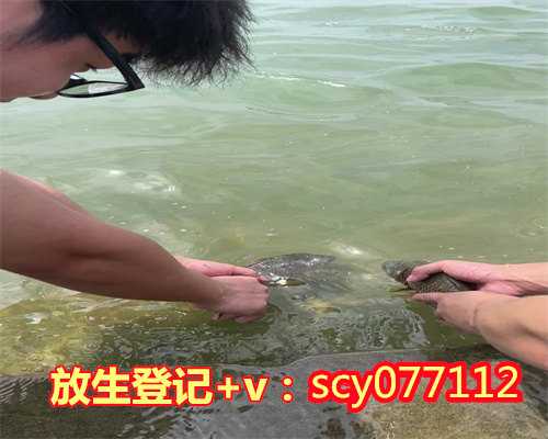 广西去哪可以放生，广西公园放生红鲤鱼，广西公园放生螺丝