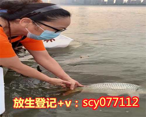 乌龟放生到什么地方好，为什么放生_放生有什么好处