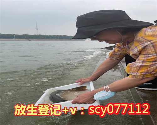 四川菩提心放生组,四川放生后如何回向给病人看,四川每天一元放生群