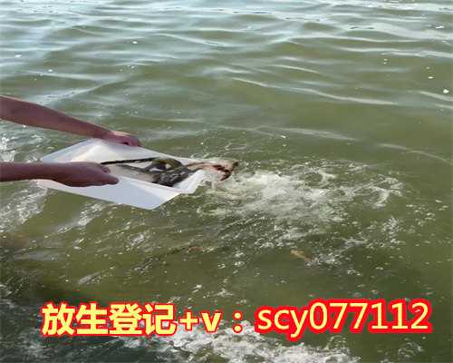 放生有日子好坏之说吗,若说有奇缘------看俺穷小子怎样放生