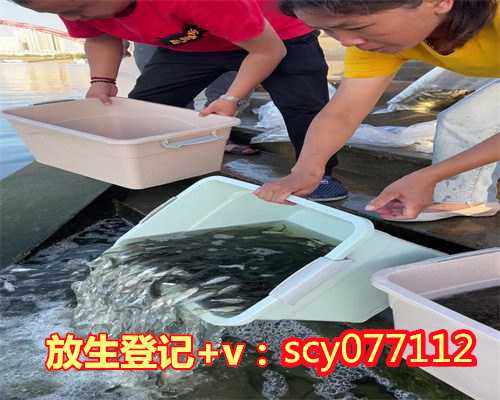 南昌放生公益组织南昌，南昌哪里放生财鱼最好【南昌有放生的组织吗】