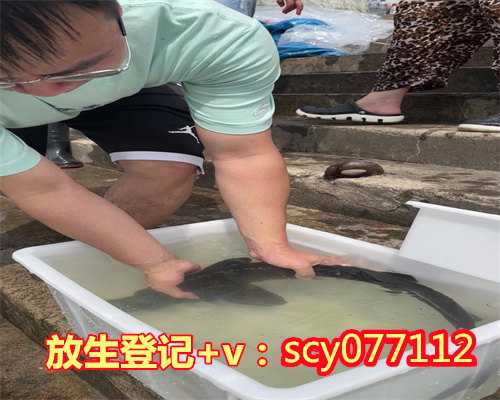 广东谈放生，广东放生草龟在哪里，广东哪个地方适合放生