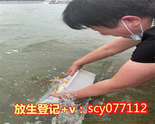 头七放生怎样讲海口,海口哪里放生鸡比较好【海口放生比较好的地方】